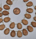 Wood Jasper Teardrops 13 x 18mm 13 pcs
