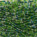 Czech Evergreen Mix03 Seed Bead 11/0